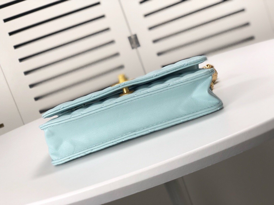 Designer bags by Chanel 076
