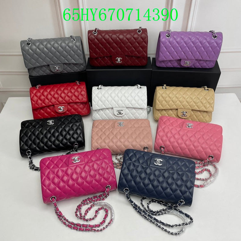 Glami - CHL Bags - 2492
