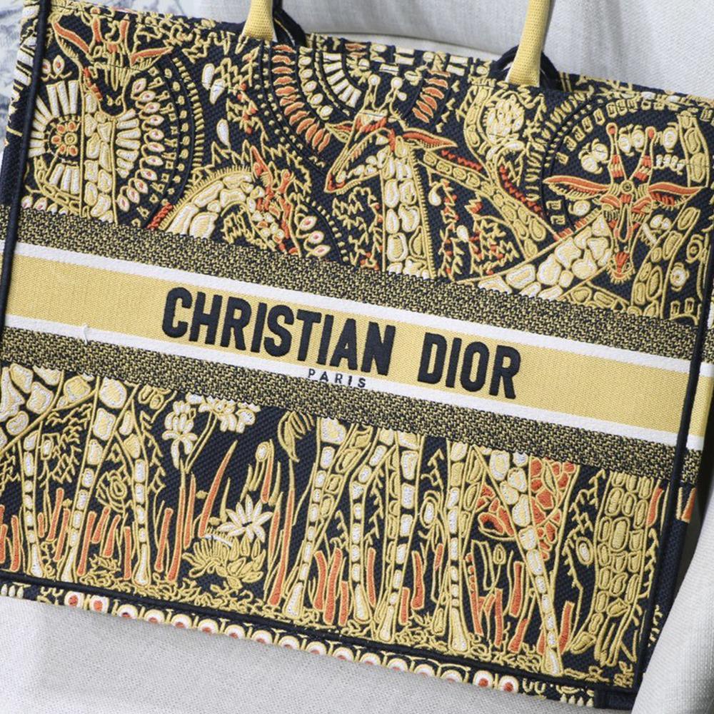 DIOR BOOK TOTE