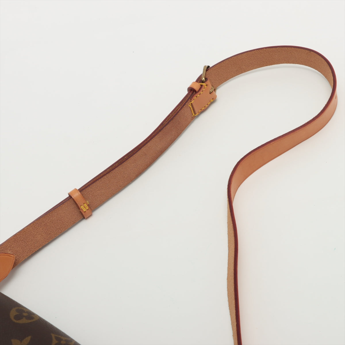 Louis Vuitton Monogram Cartouchiere