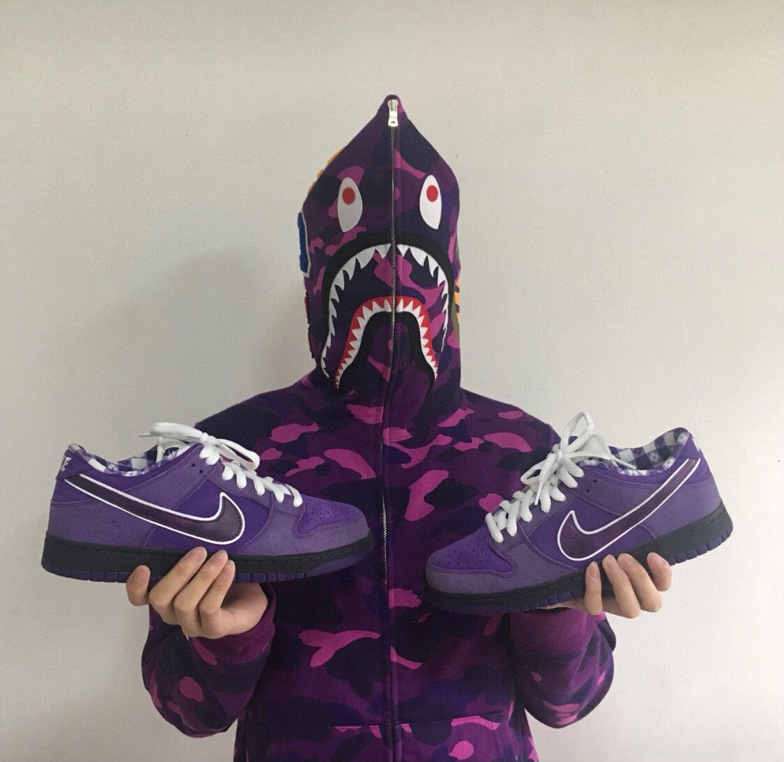 GLM - Concepts Purple Lobster