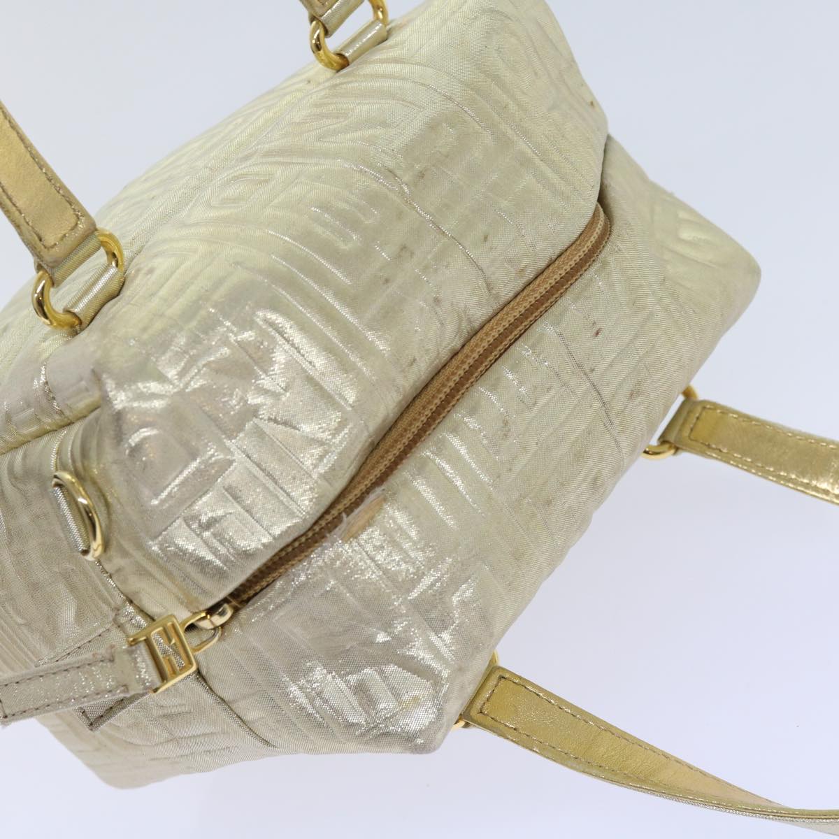FENDI Hand Bag Nylon 2way Gold 64326