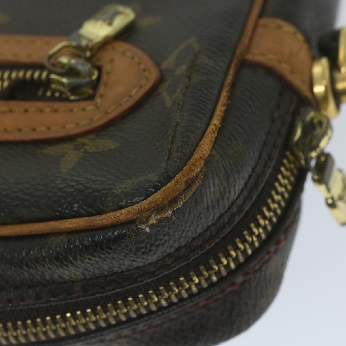 LOUIS VUITTON Monogram Marly Dragonne GM Clutch Bag M51825 LV 64700