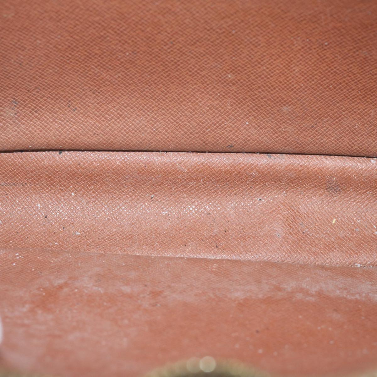 LOUIS VUITTON Monogram Marly Dragonne GM Clutch Bag M51825 LV 64702