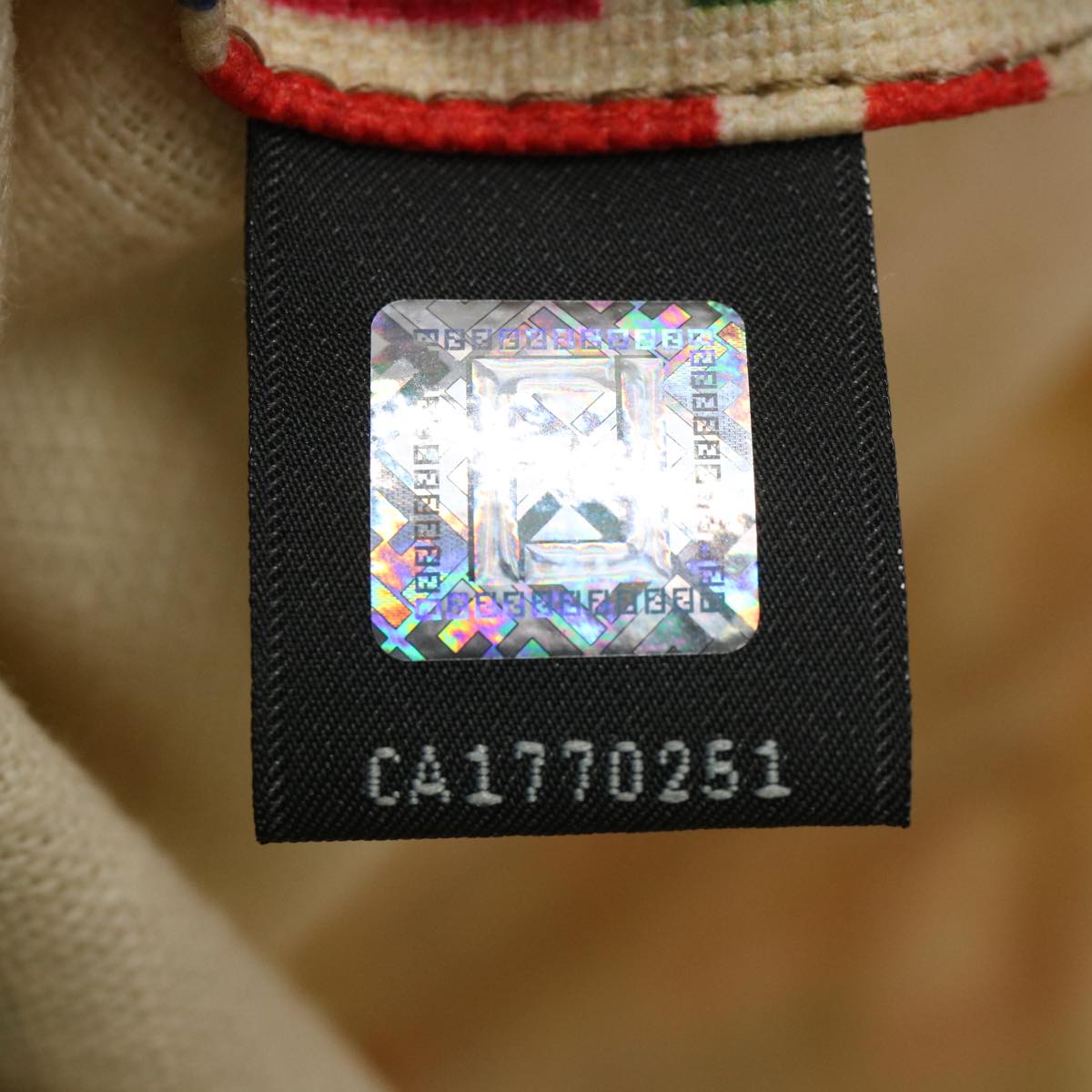 FENDI Zucca Canvas Hand Bag Multicolor 65016