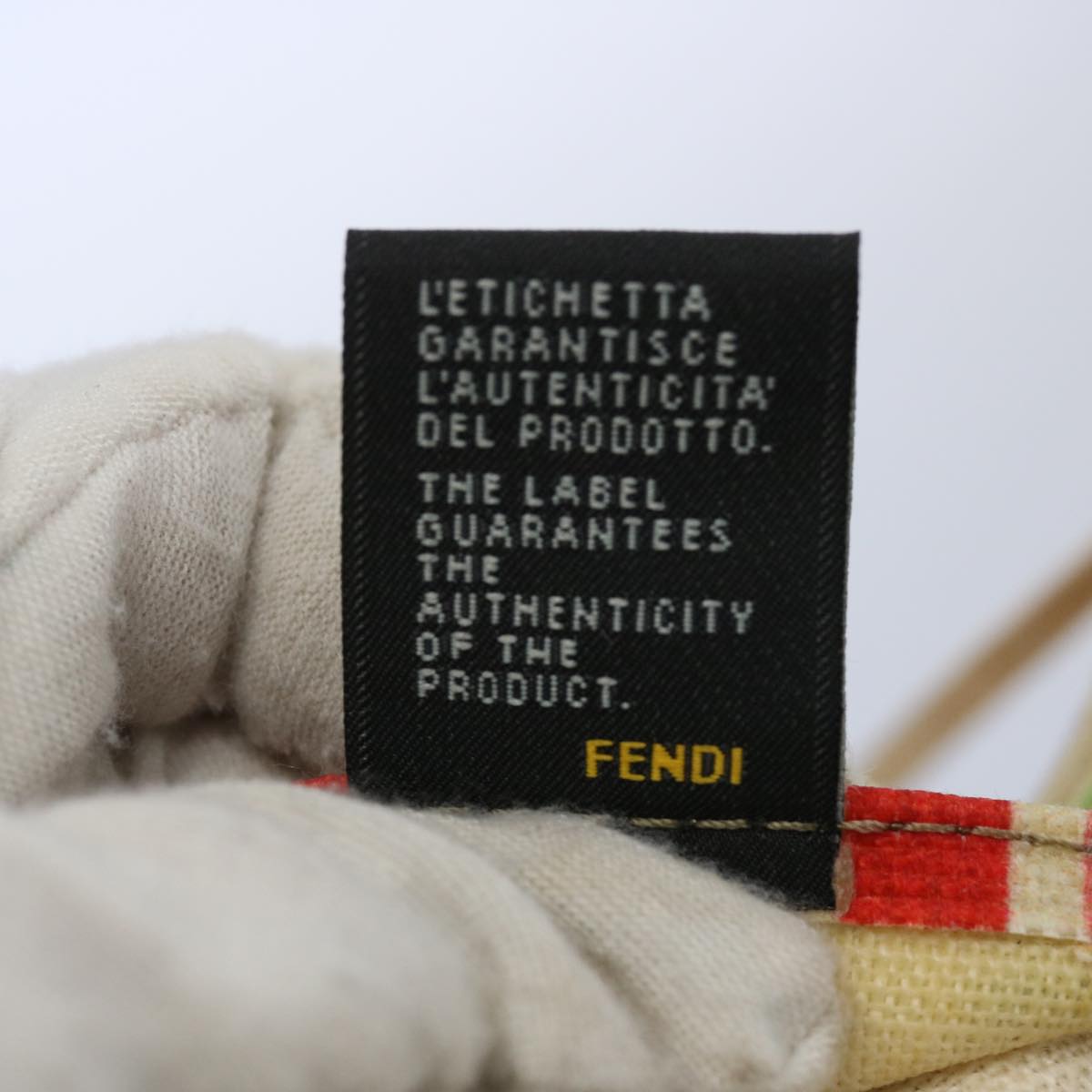 FENDI Zucca Canvas Hand Bag Multicolor 65016