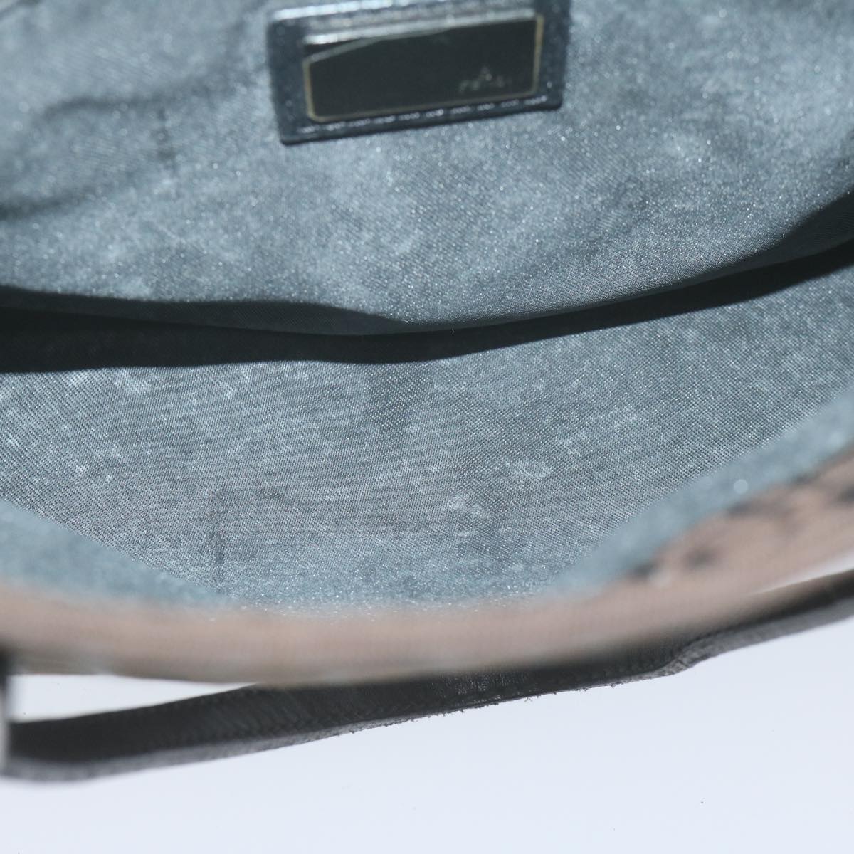 FENDI Zucchino Canvas Hand Bag Brown 65750