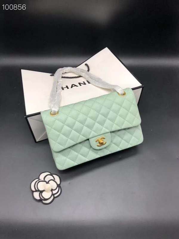 Satchel Bags - CHL Bags - 771