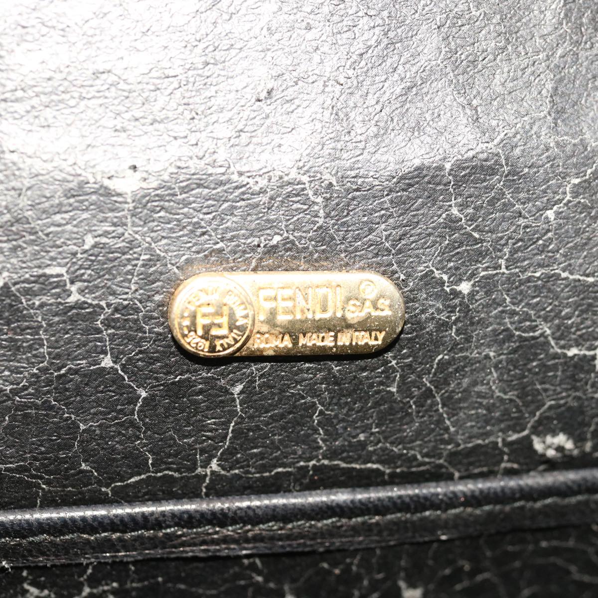 FENDI Hand Bag Leather Black 66172
