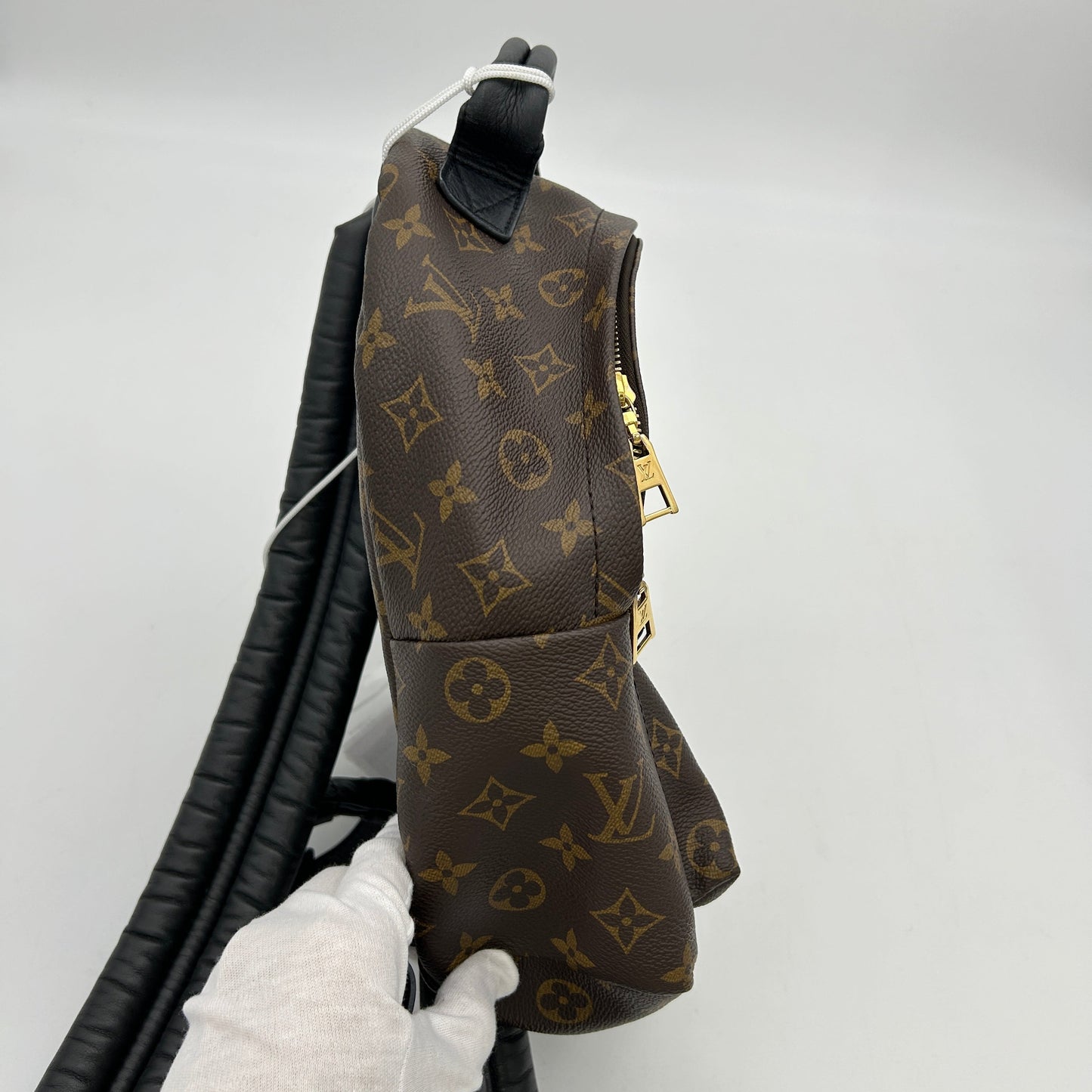 LOUIS VUITTON Monogram Palm Springs PM Backpack LA29433