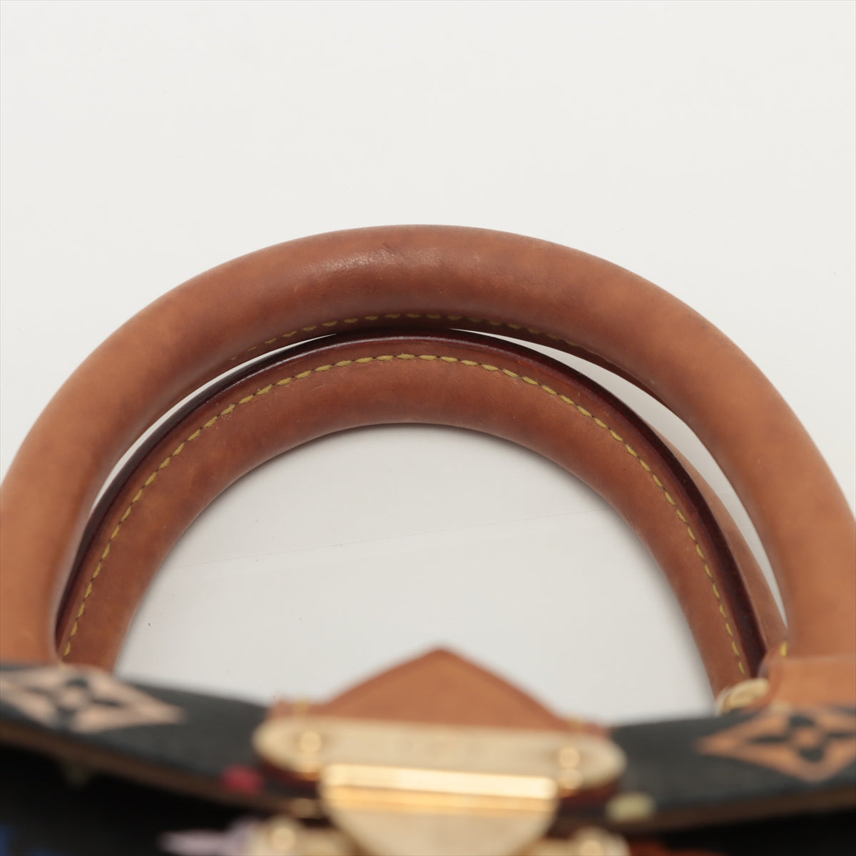 Louis Vuitton Multicolor Speedy 30