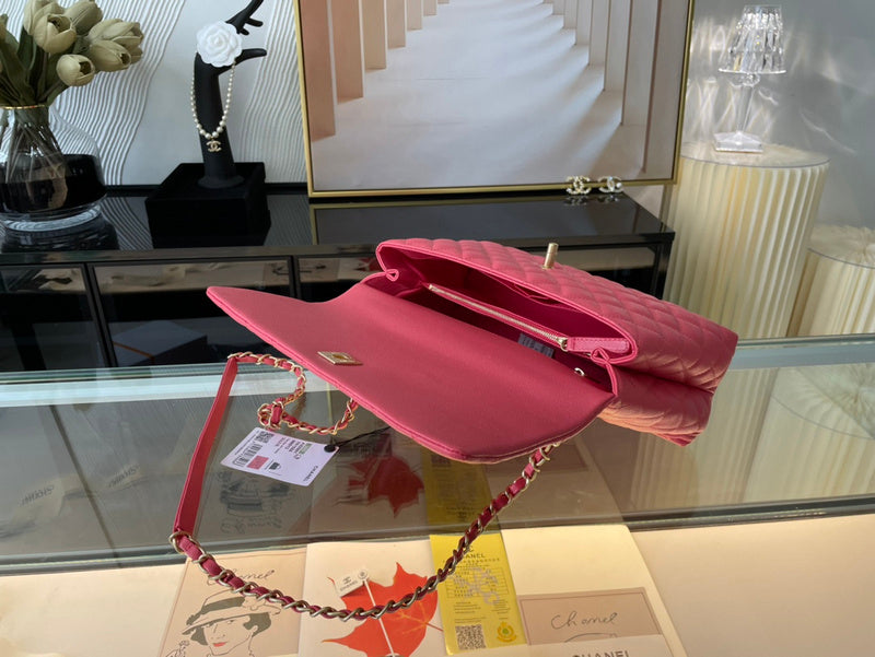Satchel Bags - CHL Bags - 1799