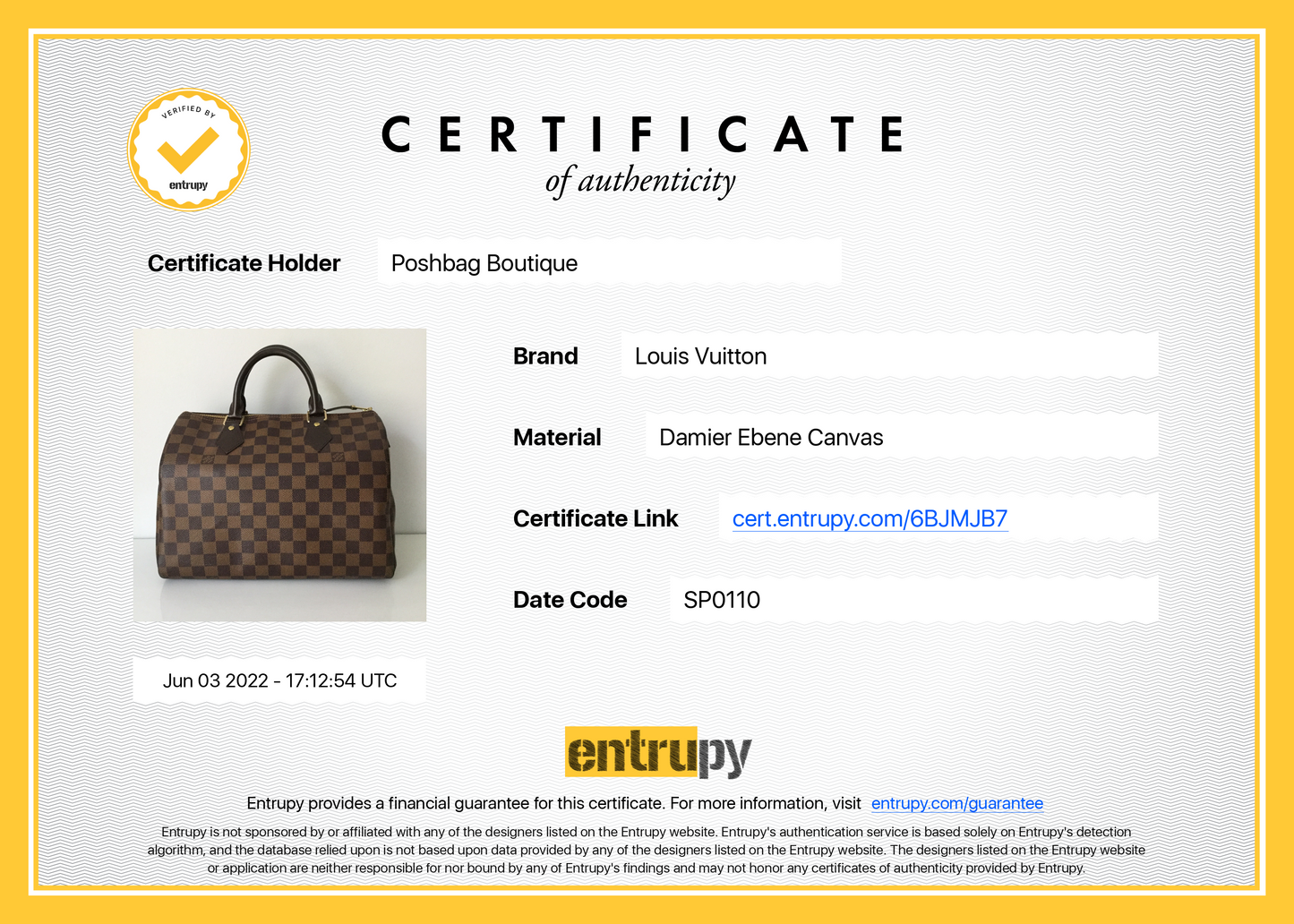 Louis Vuitto Speedy 30 Damier Ebene Canvas Bag