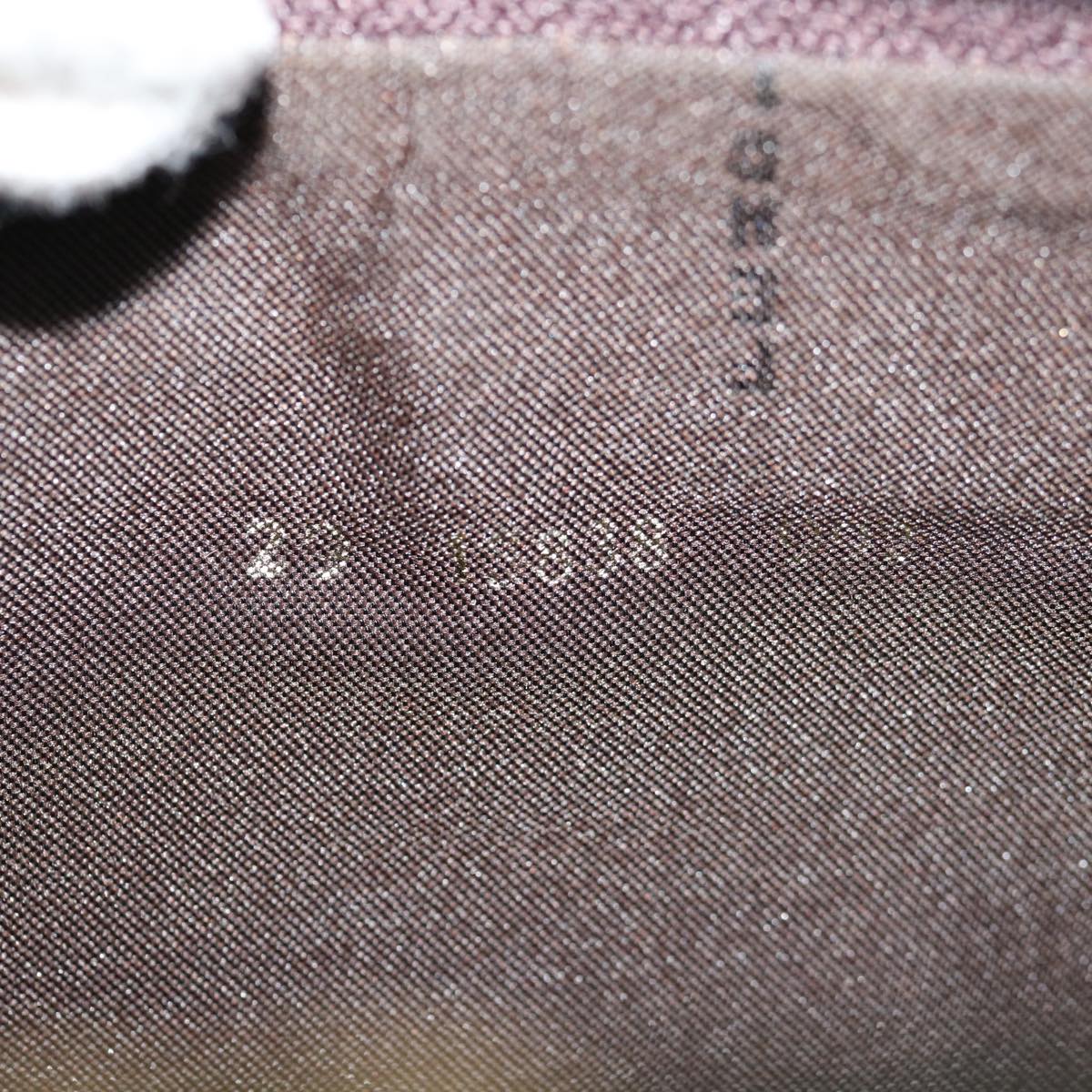 FENDI Pecan Canvas Clutch Bag Black 70820