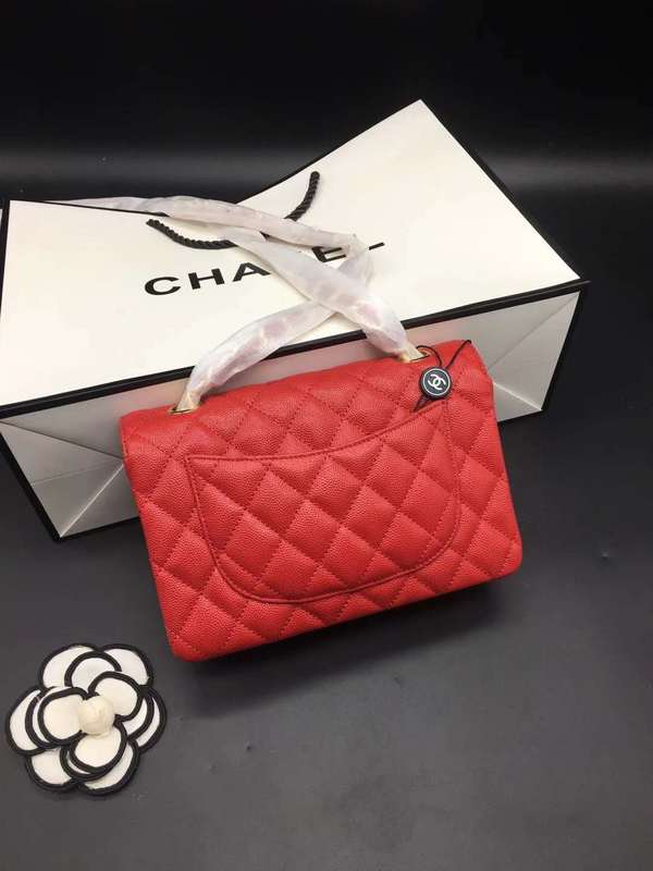 Satchel Bags - CHL Bags - 573
