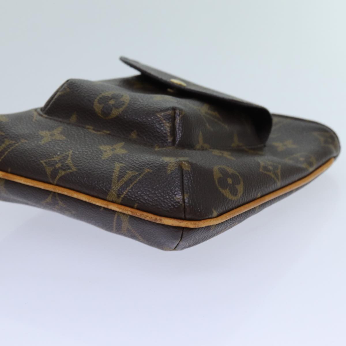 LOUIS VUITTON Monogram Partition Pouch M51901 LV 70904