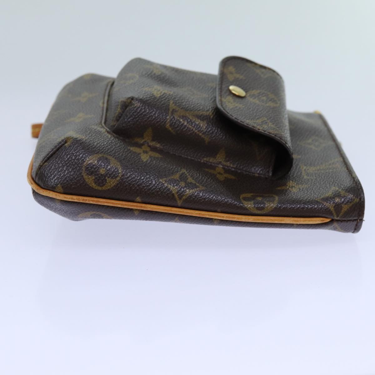 LOUIS VUITTON Monogram Partition Pouch M51901 LV 70904