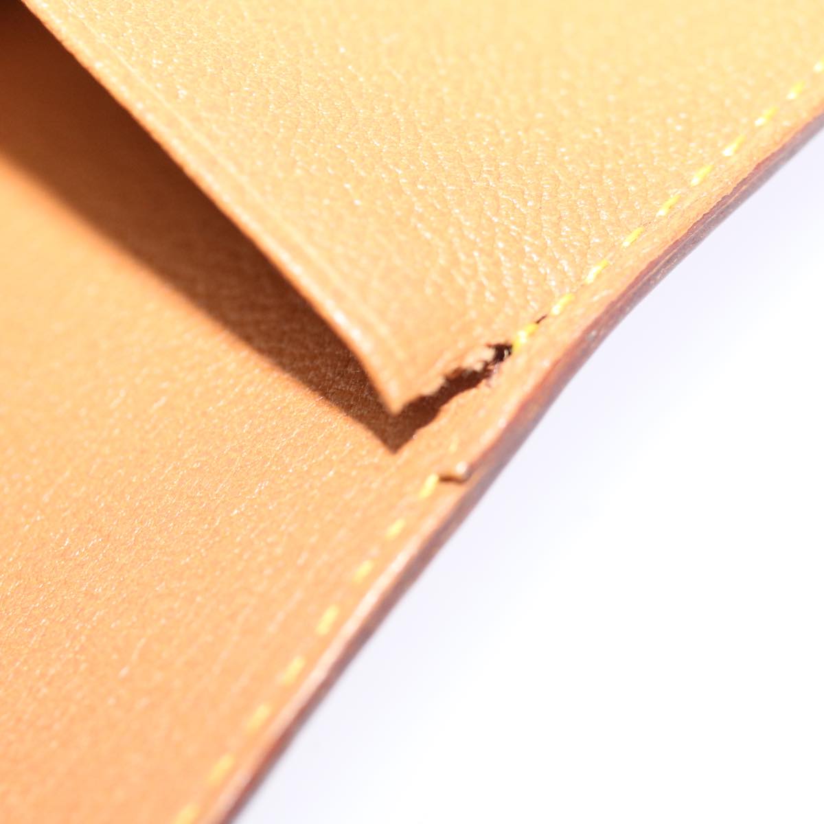 LOUIS VUITTON Nomad leather Agenda MM Day Planner Cover Beige R20473 70910