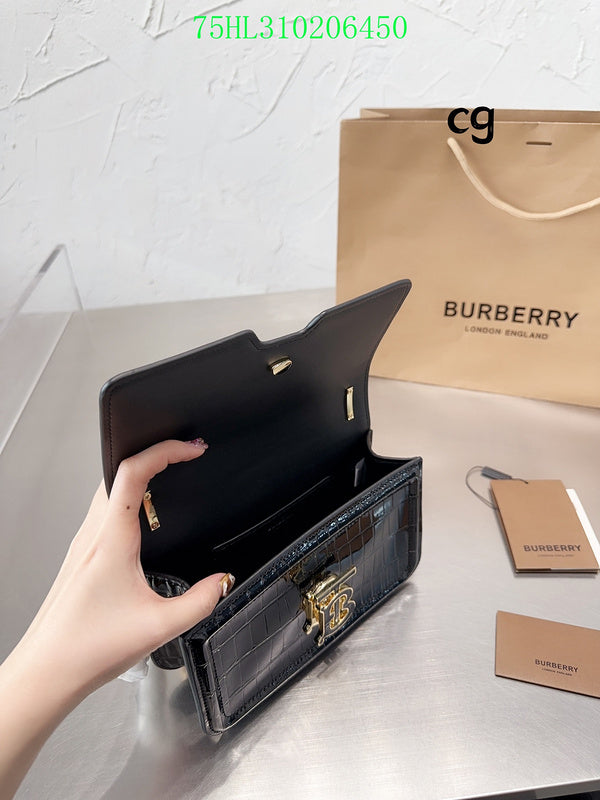 Fan Fashion -GLM - Top quality BBR Bags - 208
