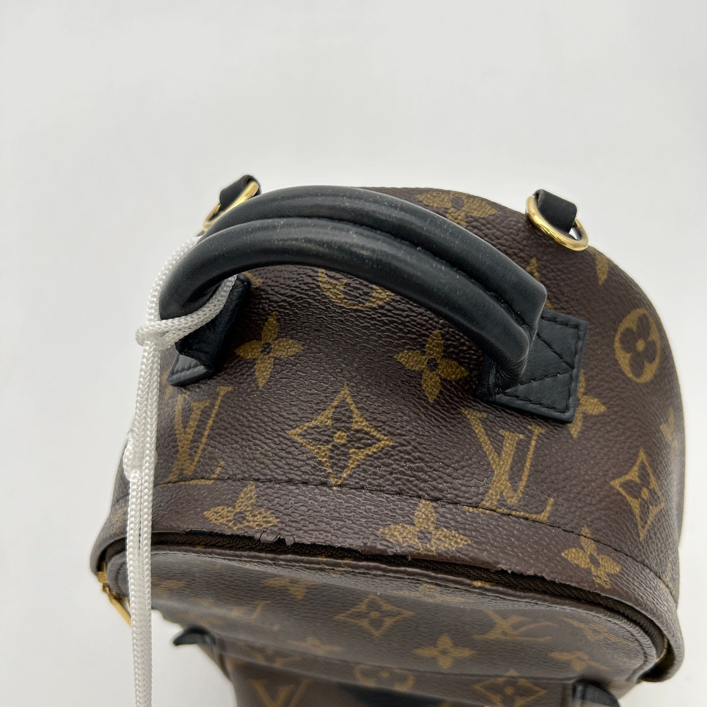 Louis Vuitton LV Monogram Palm Springs LA28323