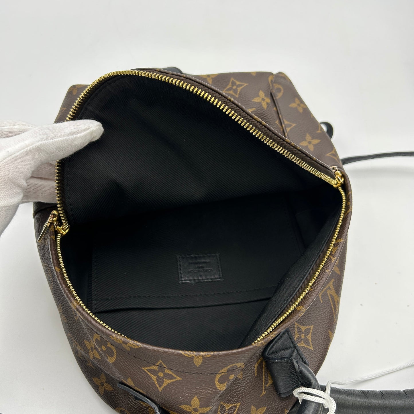 LOUIS VUITTON Monogram Palm Springs PM Backpack LA29433