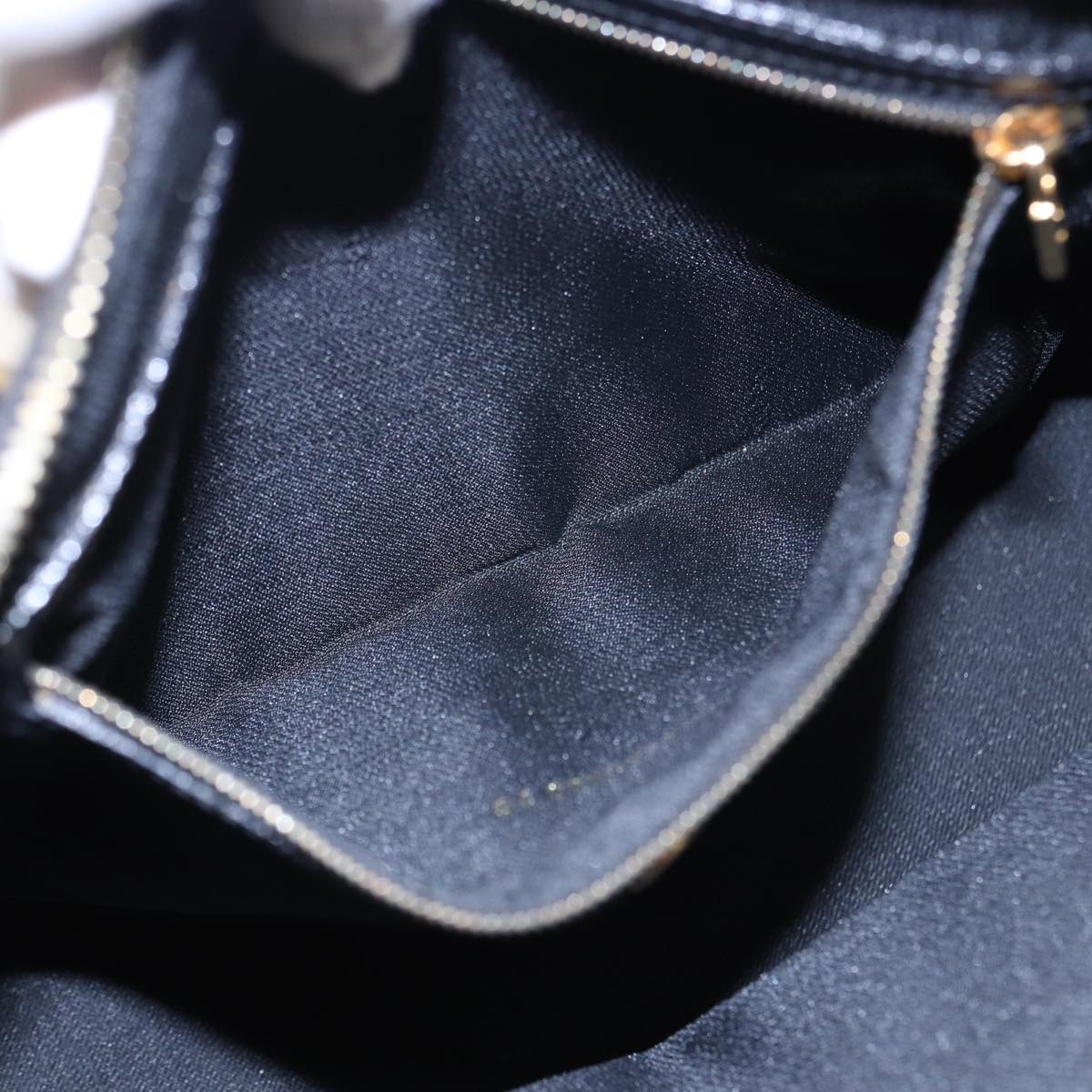 FENDI Pecan Canvas Hand Bag 2way Black Gray 81862
