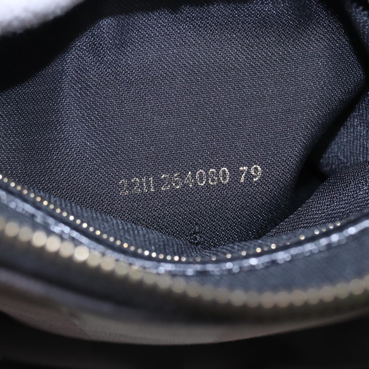 FENDI Pecan Canvas Hand Bag 2way Black Gray 81862