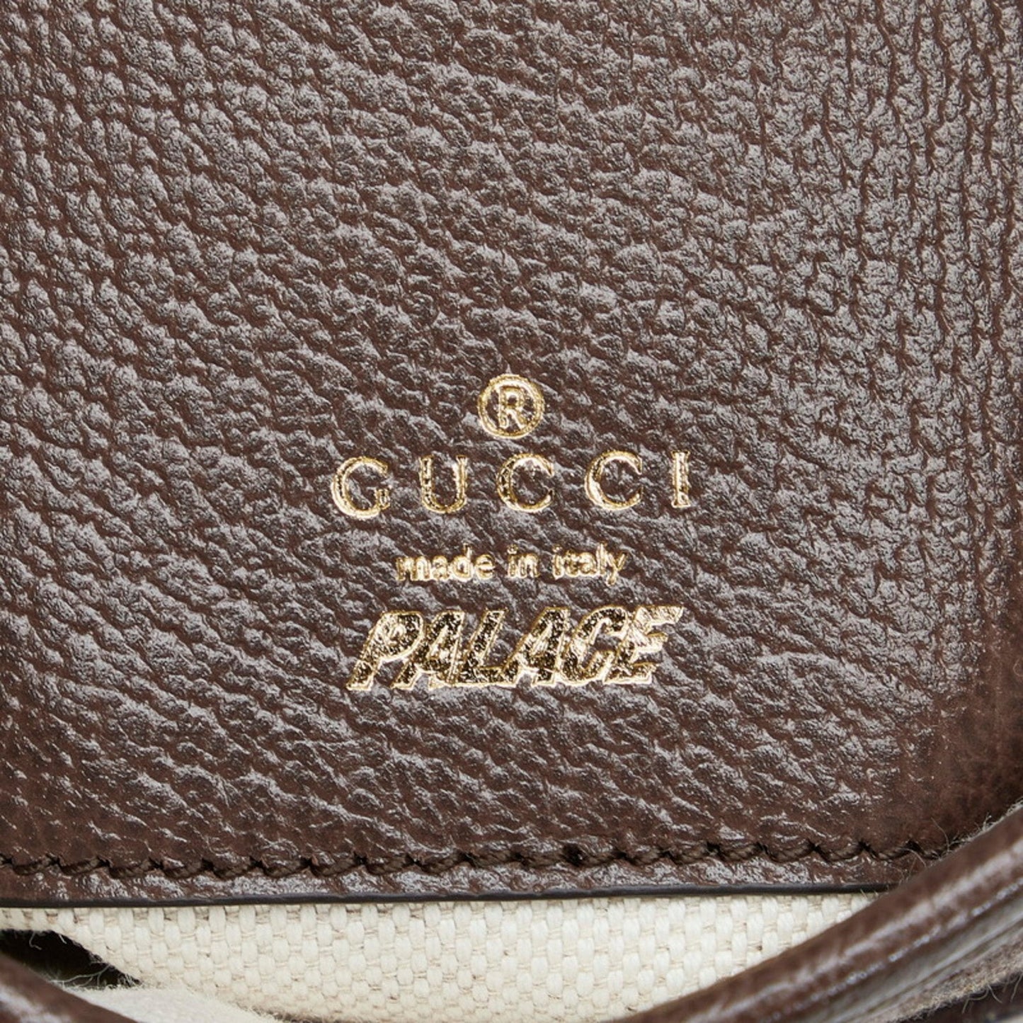 Gucci GG canvas
