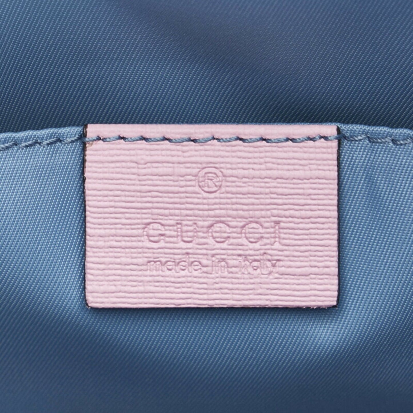 Gucci GG canvas