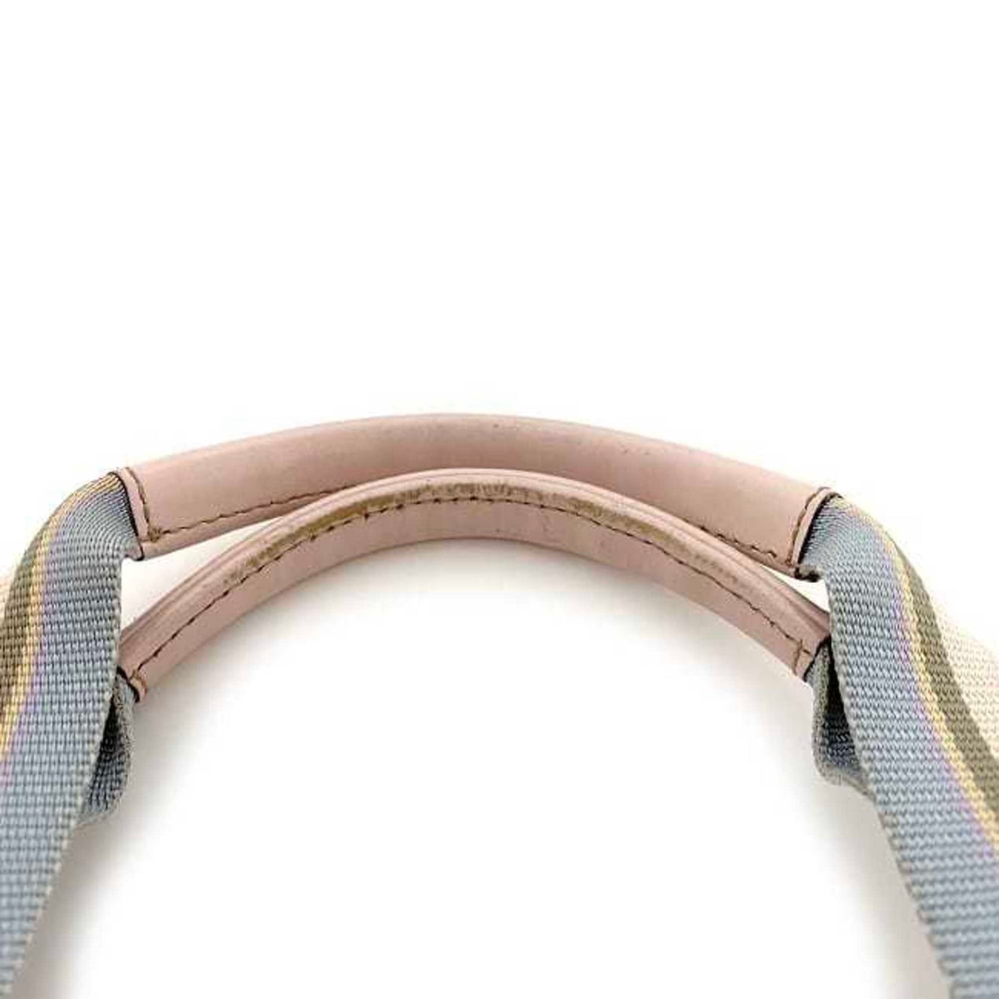 Gucci GG canvas