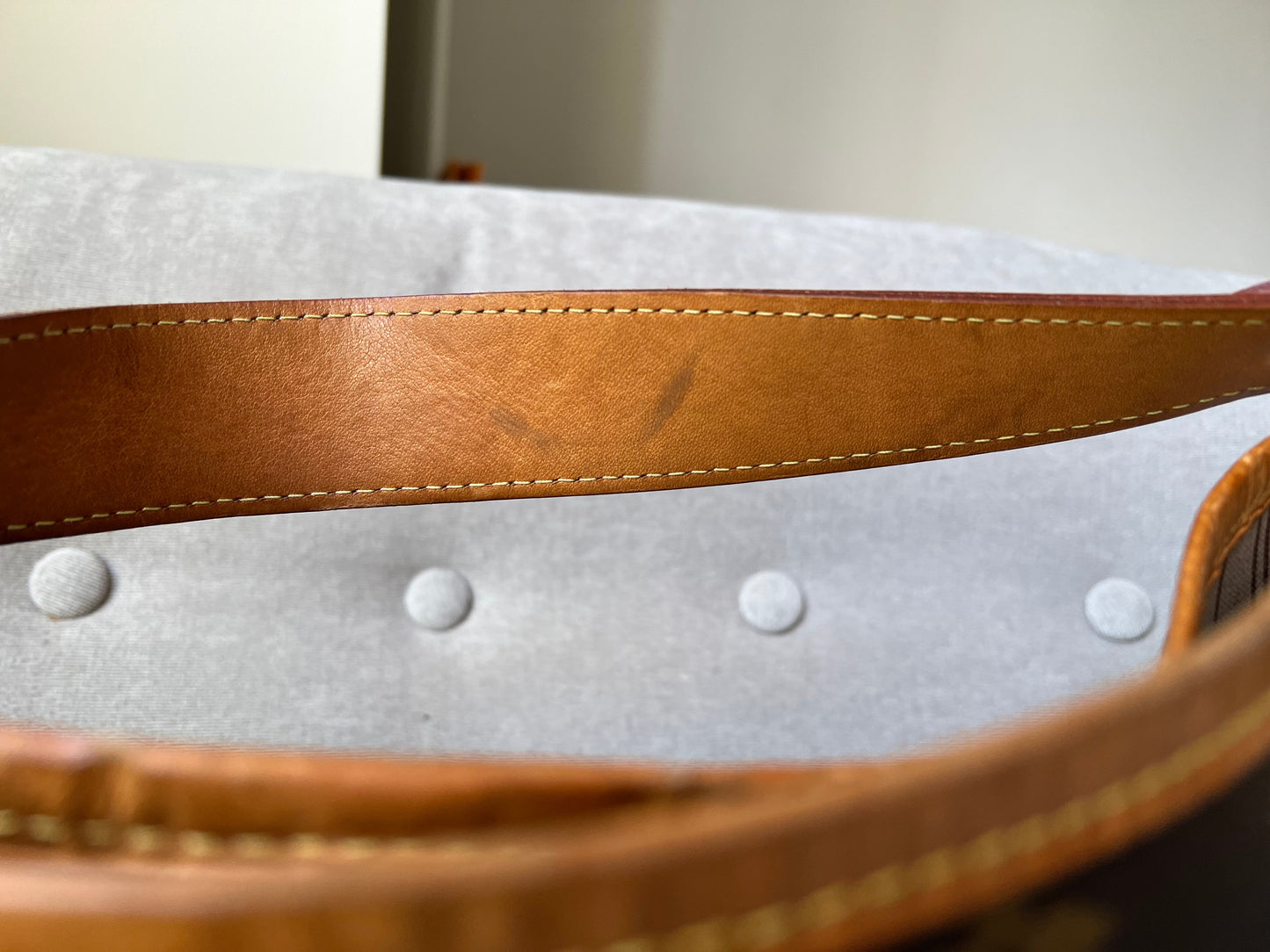 Louis Vuitton Delightful MM Monogram