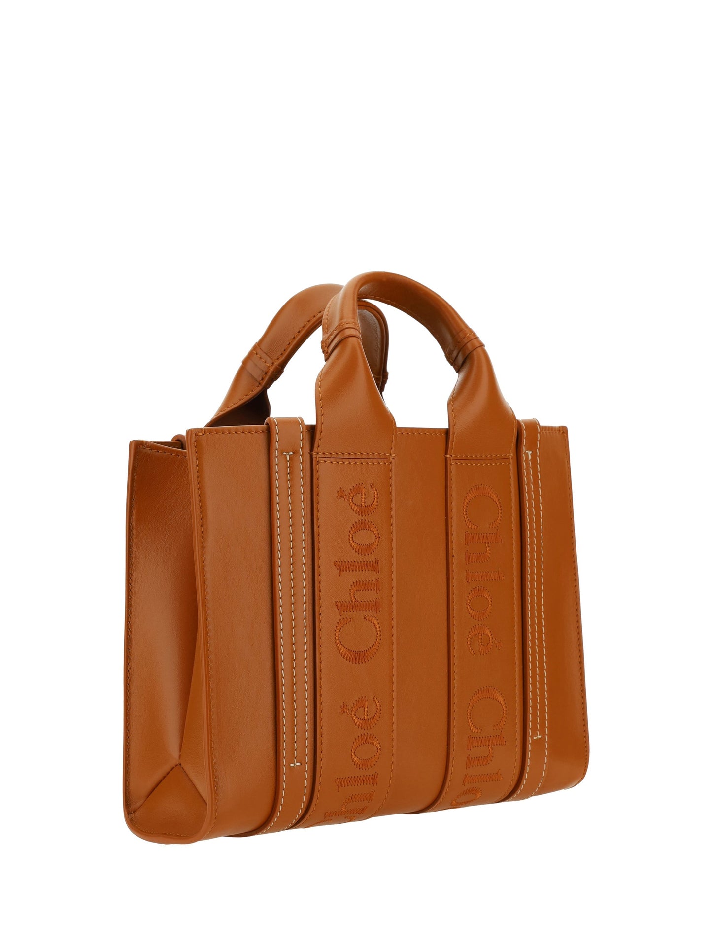 ChloÃƒÆ’Ã‚Â© Women Woody Handbag