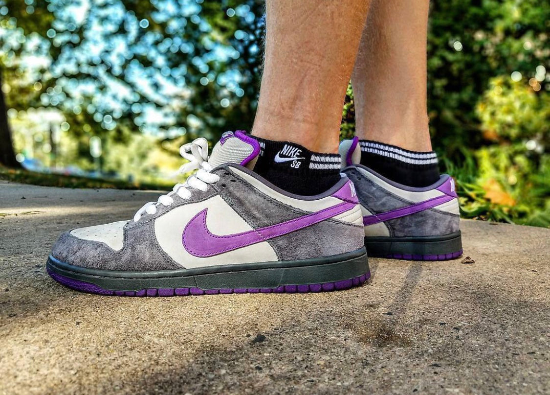 GLM - Grey-purple pigeon