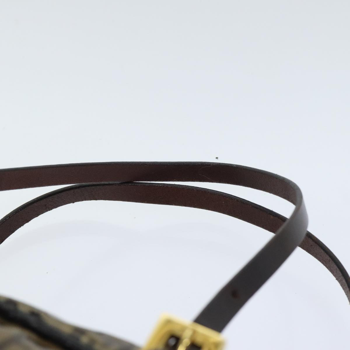 FENDI Zucchino Canvas Hand Bag Brown Gold 93886