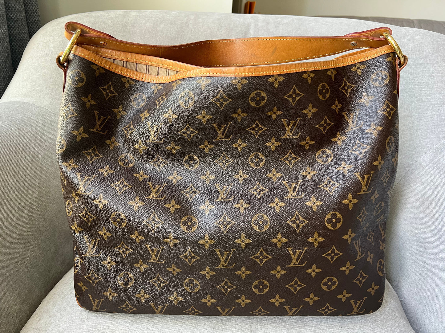 Louis Vuitton Delightful MM Monogram