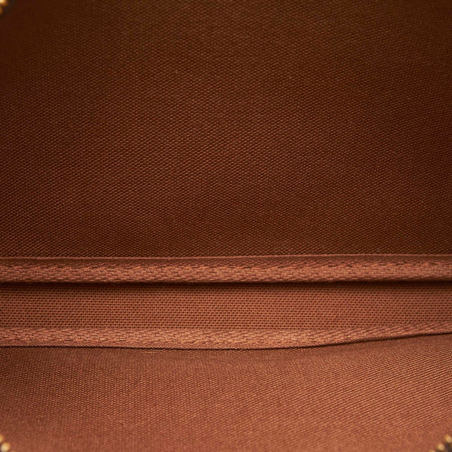 Louis Vuitto Pochette Accessoires Monogram Canvas Bag