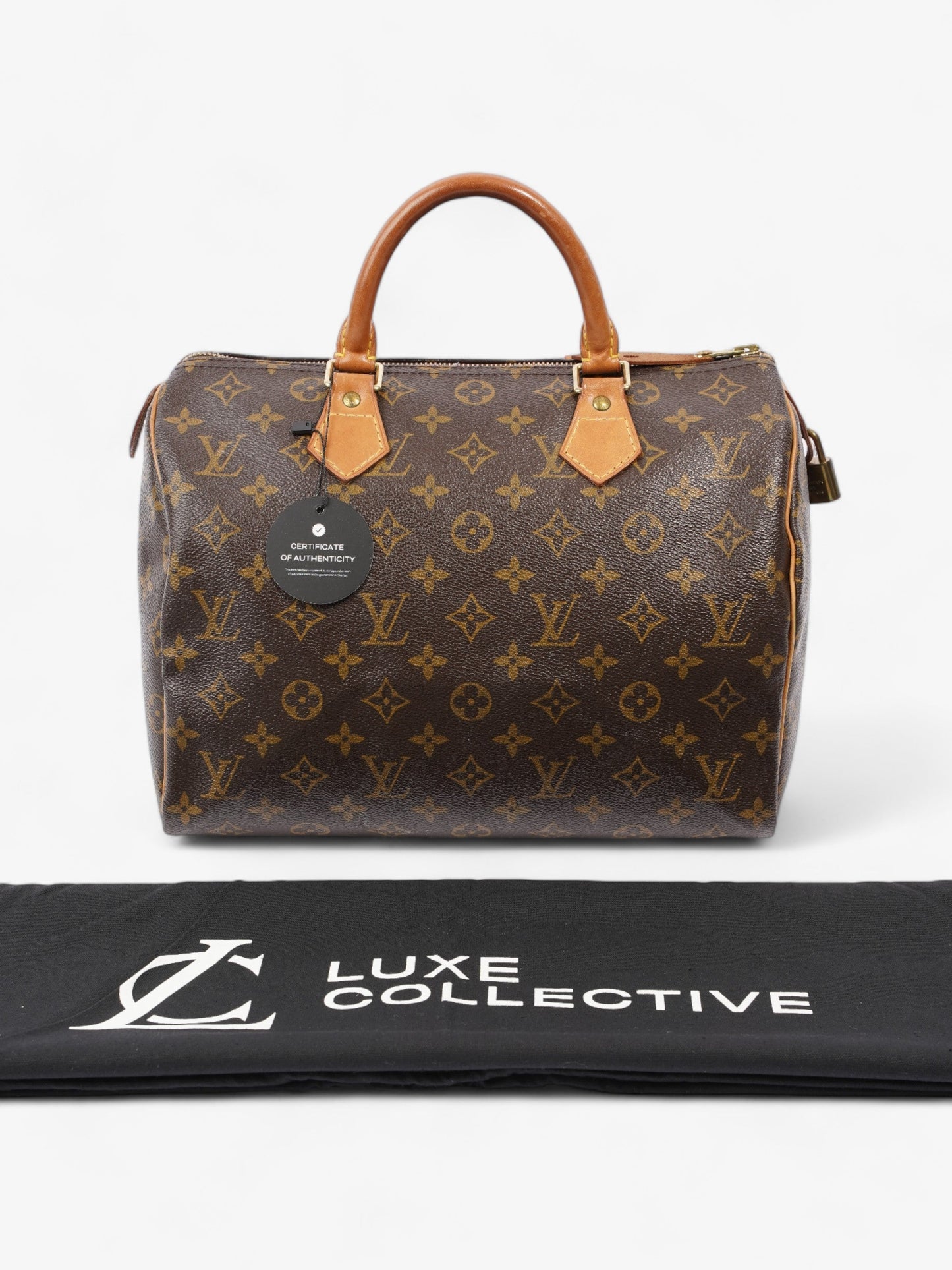 Louis Vuitton Speedy Monogram Coated Canvas 30