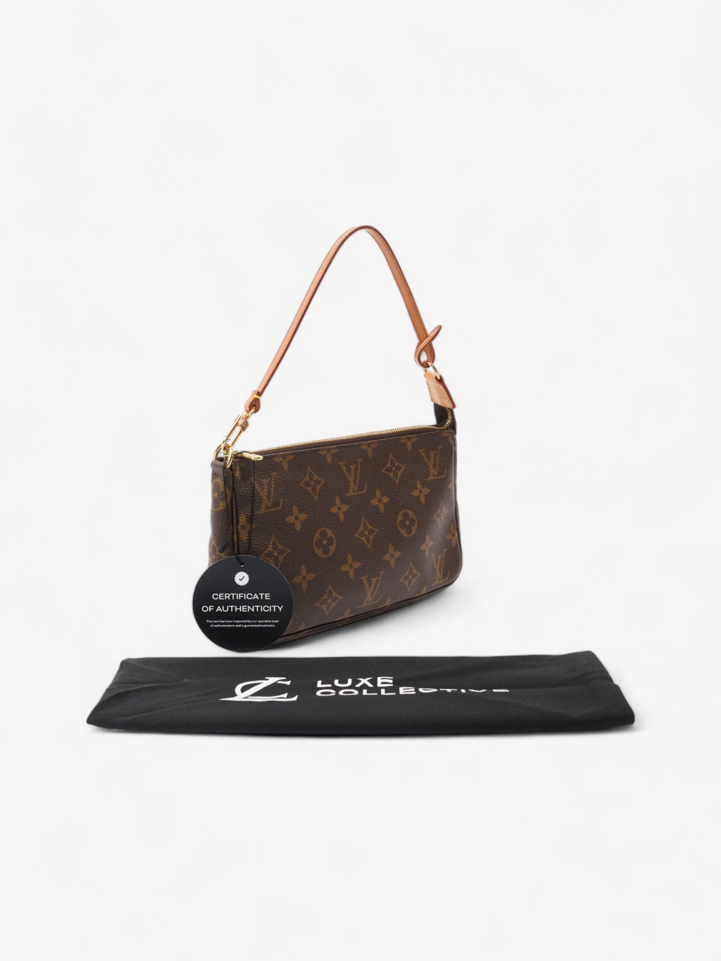 Louis Vuitton Pochette Accessoires Monogram Coated Canvas
