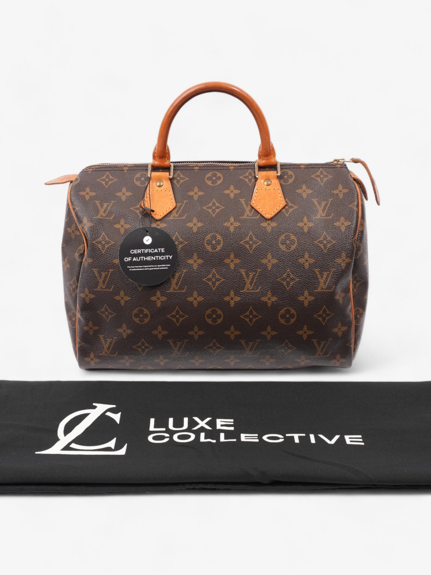 Louis Vuitton Speedy Monogram 30