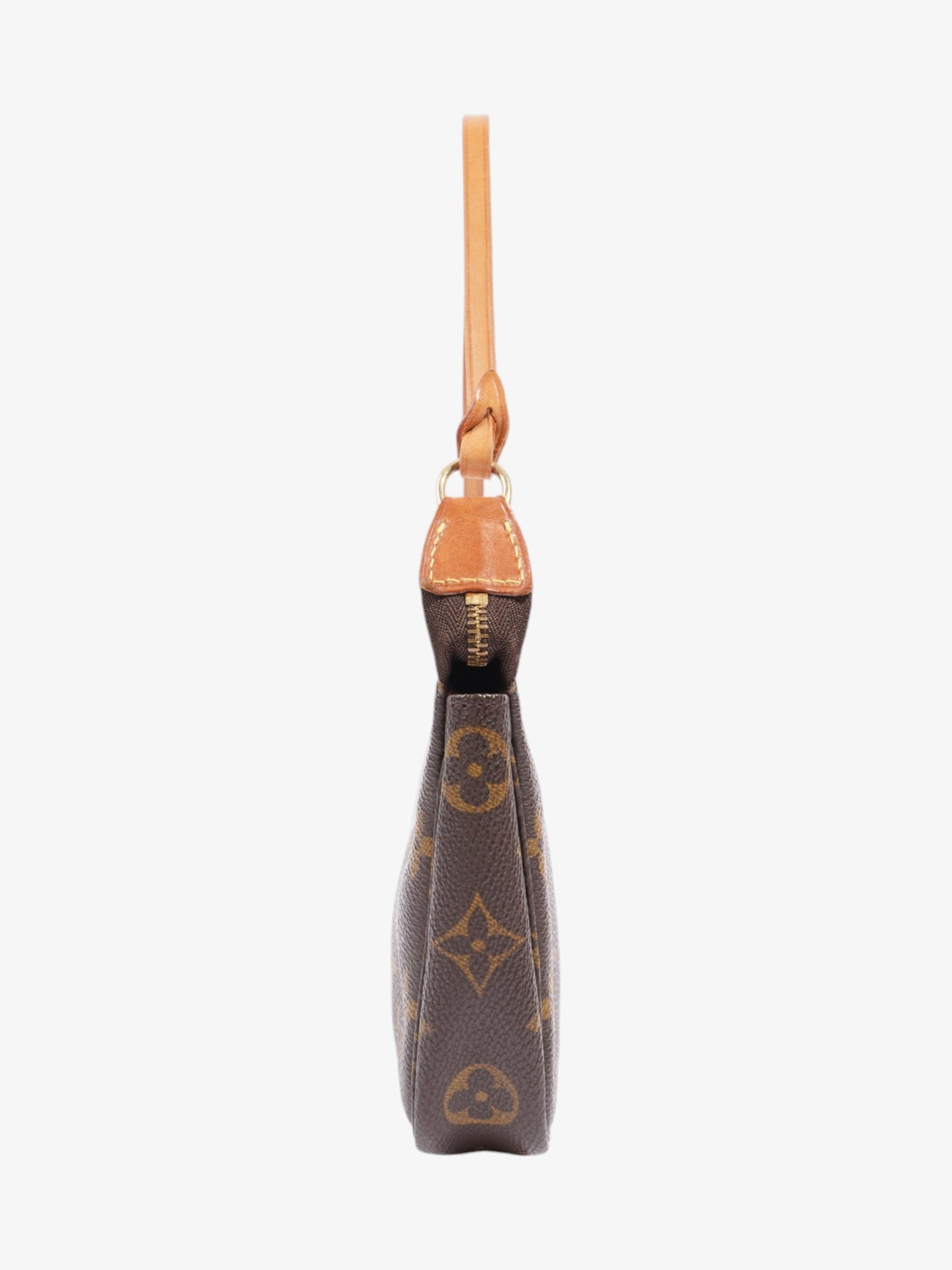 Louis Vuitton Pochette Accessoires Monogram Coated Canvas
