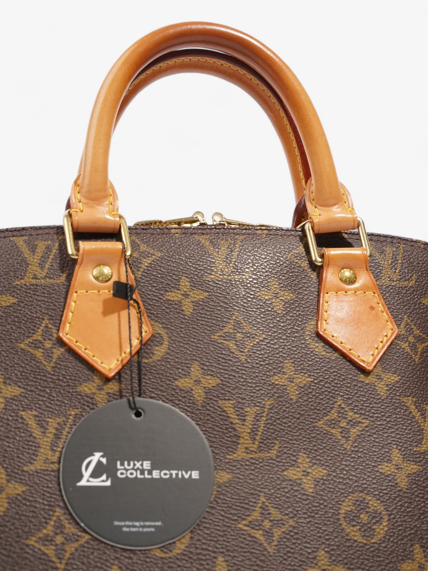 Louis Vuitton Alma Monogram Coated Canvas PM