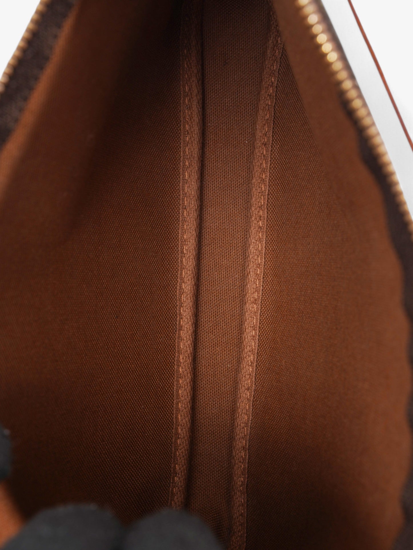 Louis Vuitton Pochette Accessoires Monogram Coated Canvas