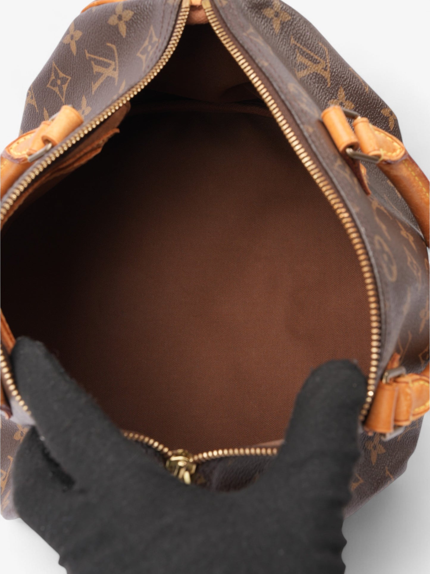 Louis Vuitton Speedy Monogram Coated Canvas 30