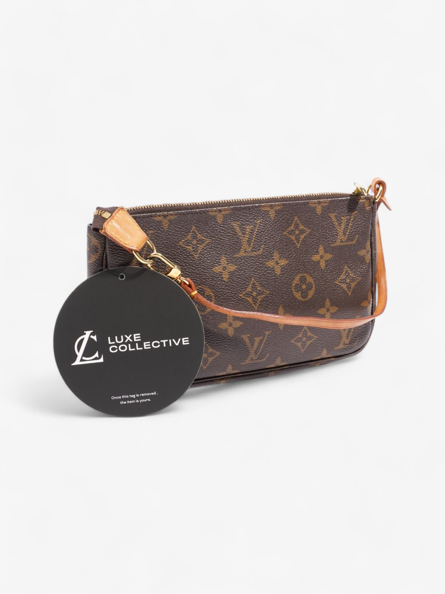 Louis Vuitton Pochette Accessoires Monogram Coated Canvas