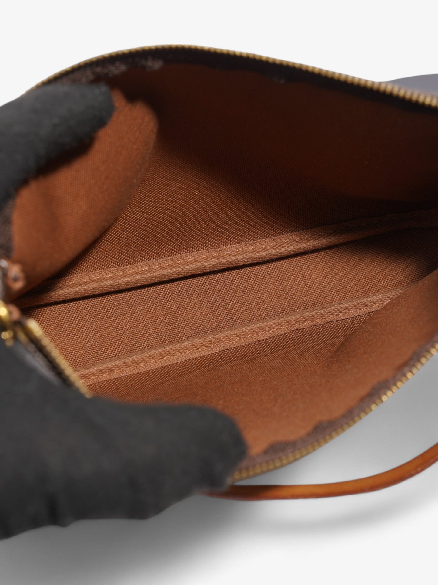Louis Vuitton Pochette Accessoires Monogram Coated Canvas