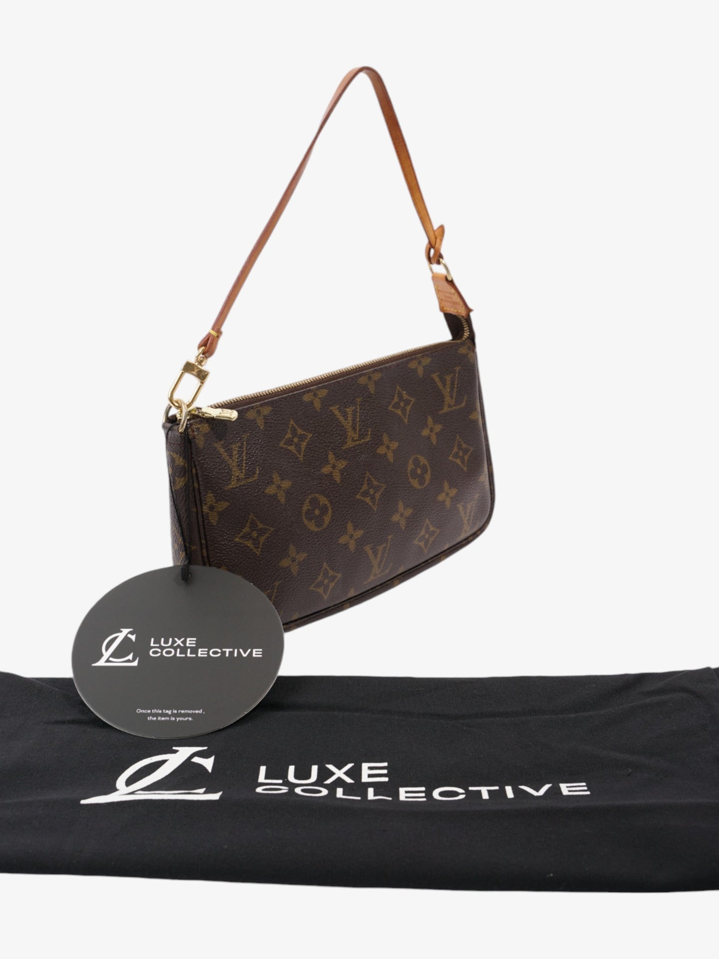 Louis Vuitton Pochette Accessoires Monogram Coated Canvas