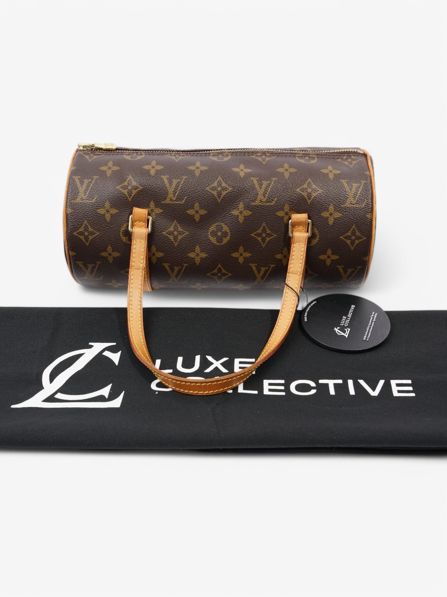 Louis Vuitton Papillon Monogram Coated Canvas 26