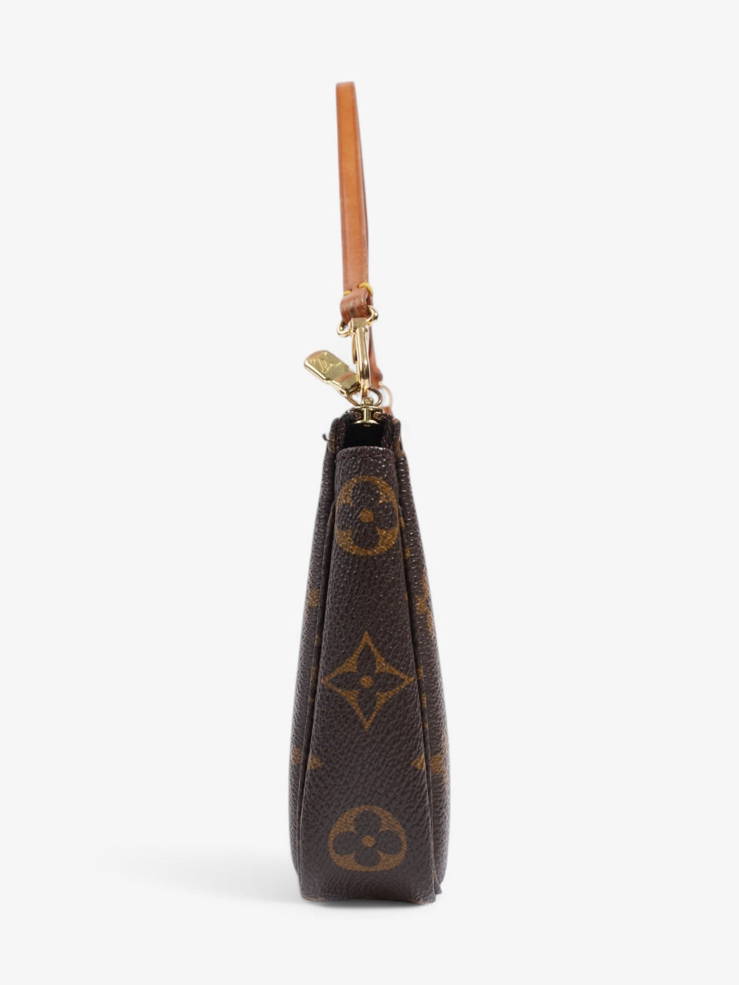 Louis Vuitton Pochette Accessoires Monogram Coated Canvas