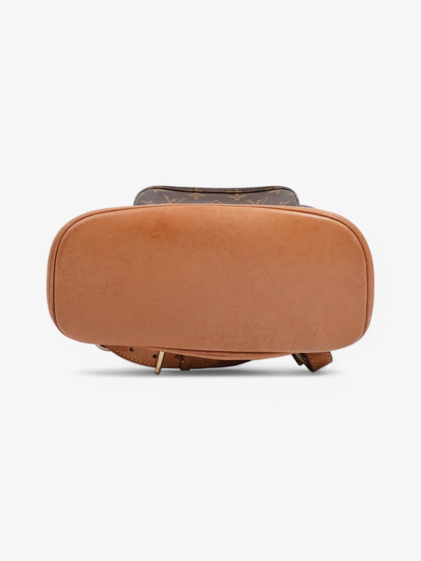 Louis Vuitton Montsouris Monogram Coated Canvas MM
