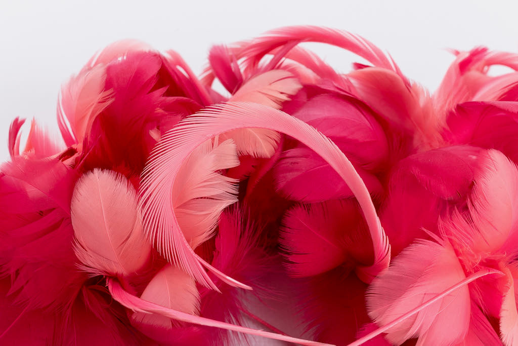 Accessoire de tÃƒÆ’Ã‚Âªte rose Yves Saint Laurent (AttribuÃƒÆ’Ã‚Â© ÃƒÆ’Ã‚Â )